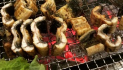 파주장어타운 매장 이미지