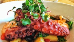 Gezellig 매장 이미지