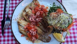 pro Deo 매장 이미지