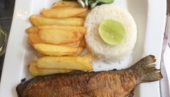 Yakumama Restaurant 매장 이미지