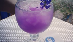 파아람티하우스 매장 이미지