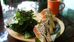 뉴질랜드스토리 매장 이미지