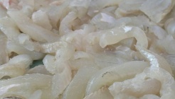 용궁성횟집 매장 이미지