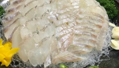 광어한마리 매장 이미지