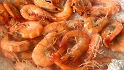 초장집 매장 이미지