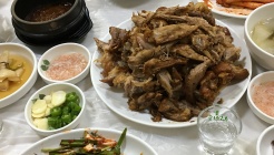 황기족발 콧등치기 동광식당 매장 이미지