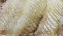 회센타 매장 이미지