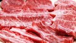 명품횡성한우고집 매장 이미지