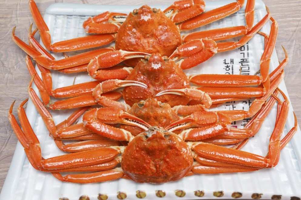 동남호대게 매장 이미지