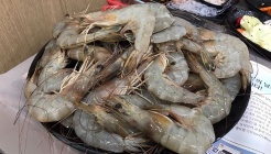 내포해물촌 매장 이미지