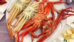 동해회대게 매장 이미지