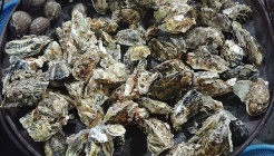 구루메 매장 이미지