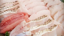 송백 매장 이미지