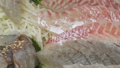 새벽항구 매장 이미지