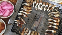 월출산민물장어직매장 매장 이미지