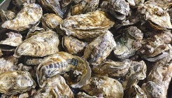 유자가든 매장 이미지