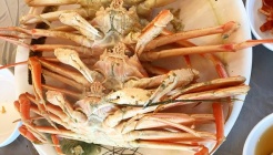 죽도회대게타운 매장 이미지