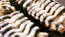 함평천지 민물장어 매장 이미지