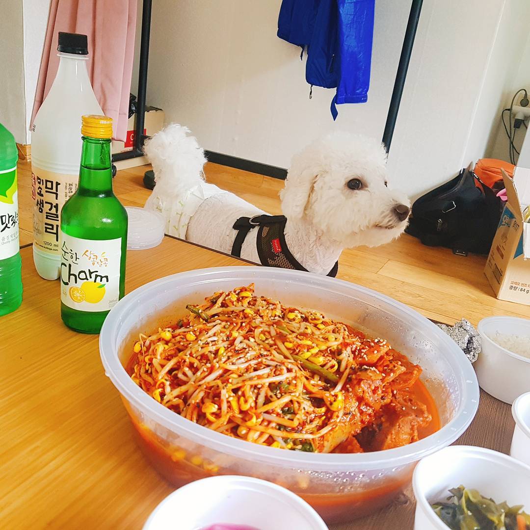 해리수 매장 이미지