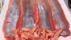 산천송어회 매장 이미지