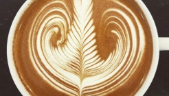 드림카페 매장 이미지