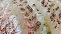 등대횟집 매장 이미지