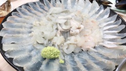 성진횟집 매장 이미지