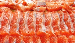 솔솔송어장 매장 이미지