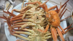 왕고래 매장 이미지