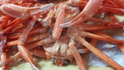 주문진홍게무한리필 매장 이미지