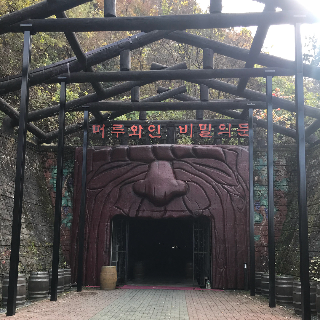 머루와인동굴 매장 이미지