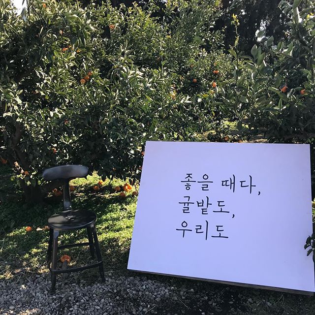 낭만농장 귤밭76번지 매장 이미지