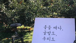 낭만농장 귤밭76번지 매장 이미지