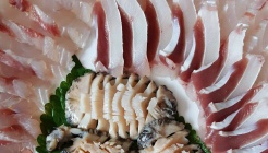 편안한횟집 매장 이미지