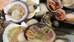 해녀모듬조개구이 매장 이미지