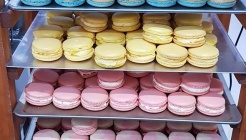 하이제씨 매장 이미지