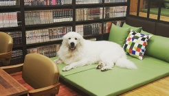 콩툰 매장 이미지