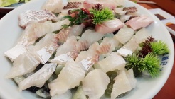 동호일식 매장 이미지