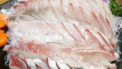 어가세꼬시 매장 이미지