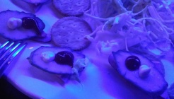 똥파리 매장 이미지