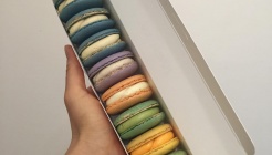 반비반트 매장 이미지