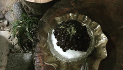 보성녹차 매장 이미지