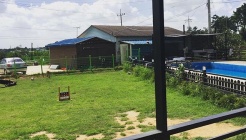 호루마루애견카페 매장 이미지