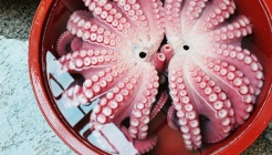 포항문어80번 매장 이미지