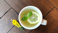 어니스트로이어 매장 이미지