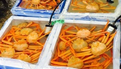 주문진대아호 매장 이미지