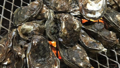 섬진강강굴식당 매장 이미지