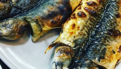 어촌생선구이굴밥 매장 이미지