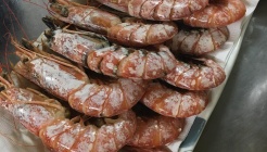 놀부포차 매장 이미지