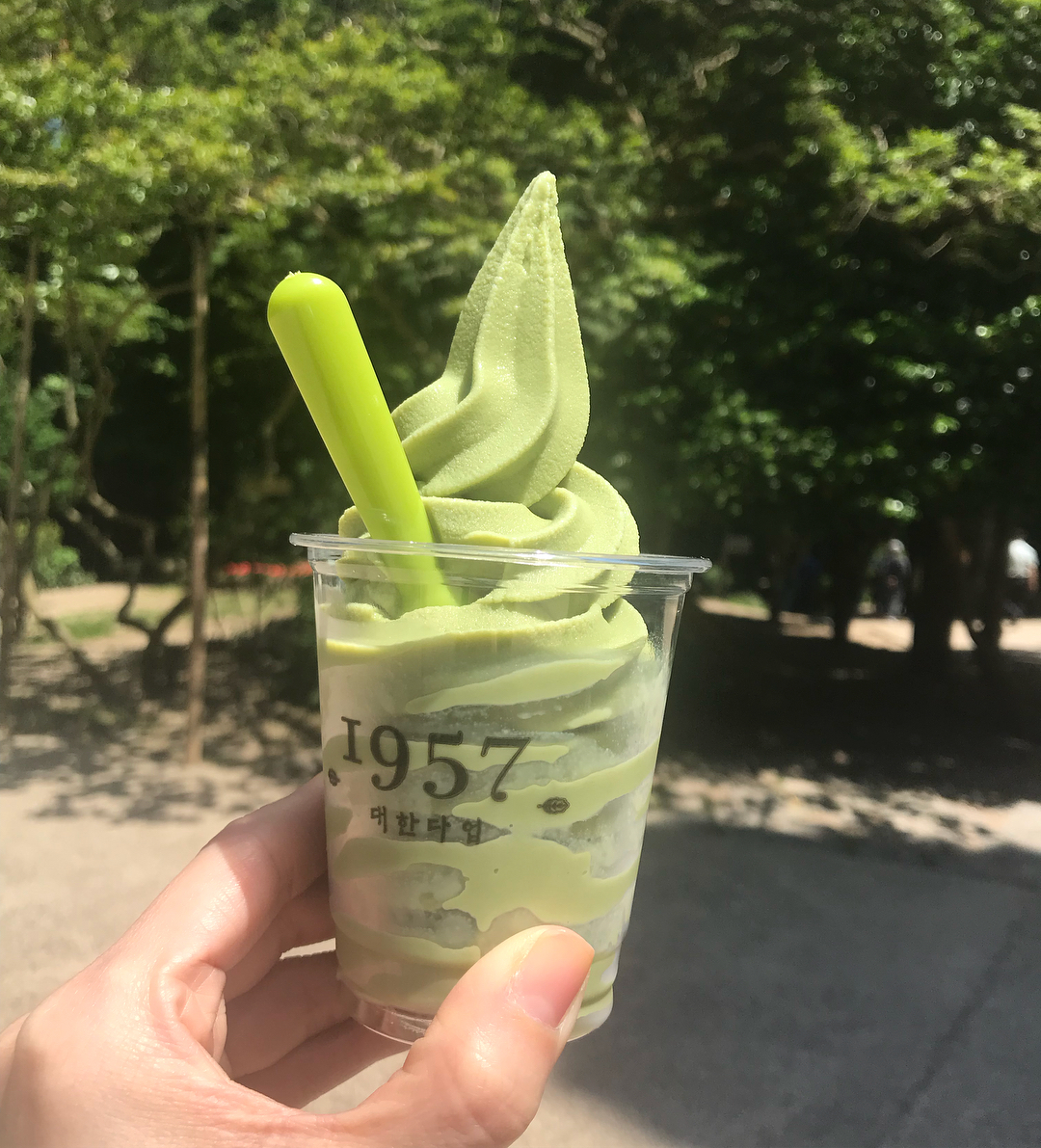대한다원 매장 이미지
